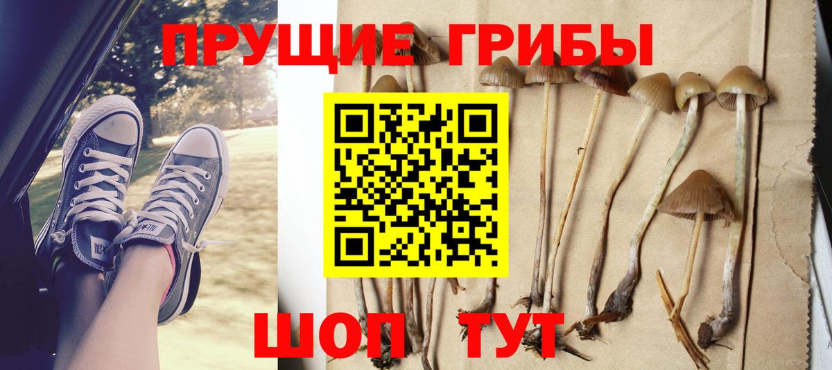 Псилоцибиновые грибы ЛСД Тимашёвск